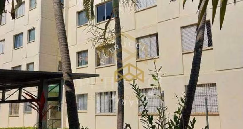 Apartamento com 3 dormitórios à venda, 68 m² - Jardim Indianópolis - Campinas/SP