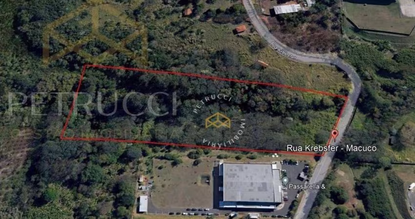 Área, 27564 m² - venda por R$ 4.500.000,00 ou aluguel por R$ 16.666,67 - Macuco - Valinhos/SP