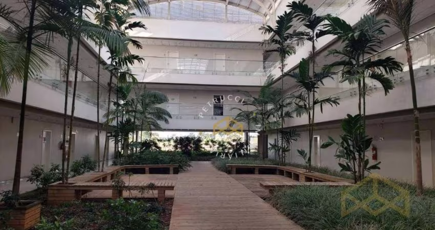Sala, 40 m² - venda por R$ 330.000,00 ou aluguel por R$ 3.038,98 - Swiss Park - Campinas/SP