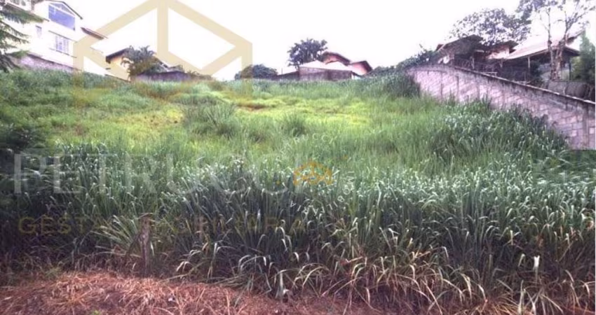 Terreno Residencial à venda, Jardim Sorirama (Sousas), Campinas - TE3719.