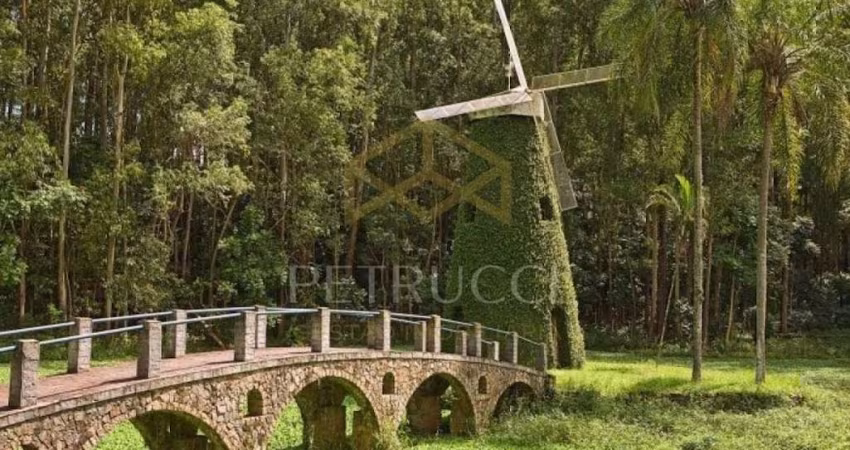 Terreno Residencial à venda, Swiss Park, Campinas - TE3103.