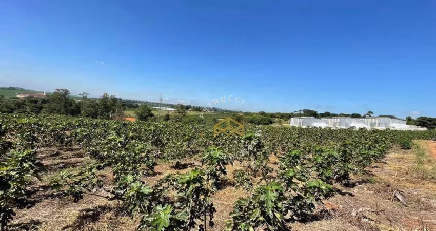 Área à venda, 45500 m² por R$ 4.880.000,00 - Jardim São Domingos - Campinas/SP