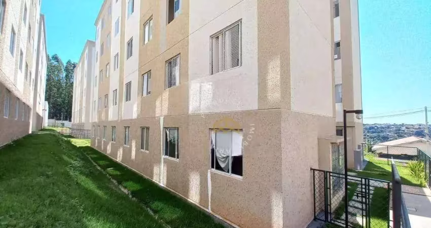 Apartamento com 38m² à venda no condomínio vale dos eucaliptos na cidade de campinas/sp.
