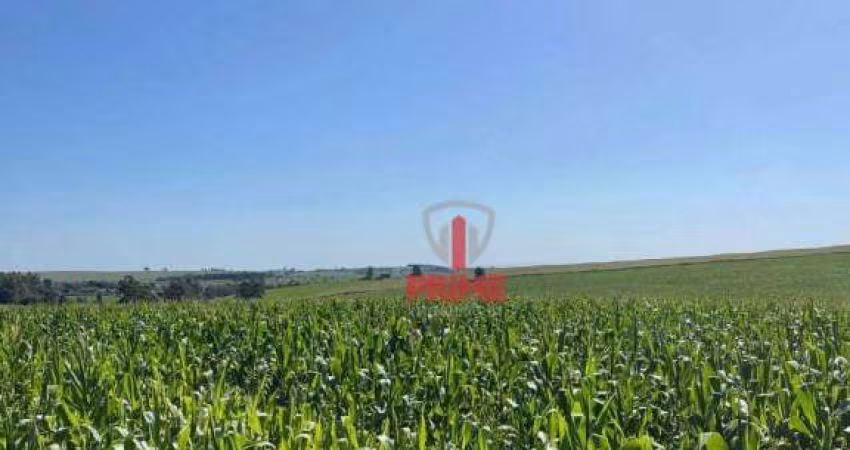 Fazenda à venda em Alvorada do Sul no Paraná. Com 95 alqueires de plantio, barracão, sede e casa para funcionários.