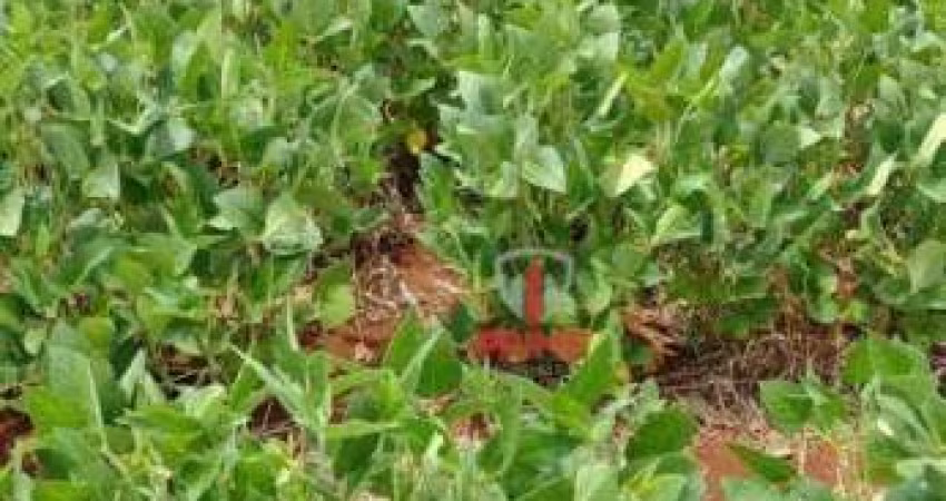 Fazenda à venda na Warta no Paraná.   - Com 85 alqueires sendo 66 alqueires de plantio.
