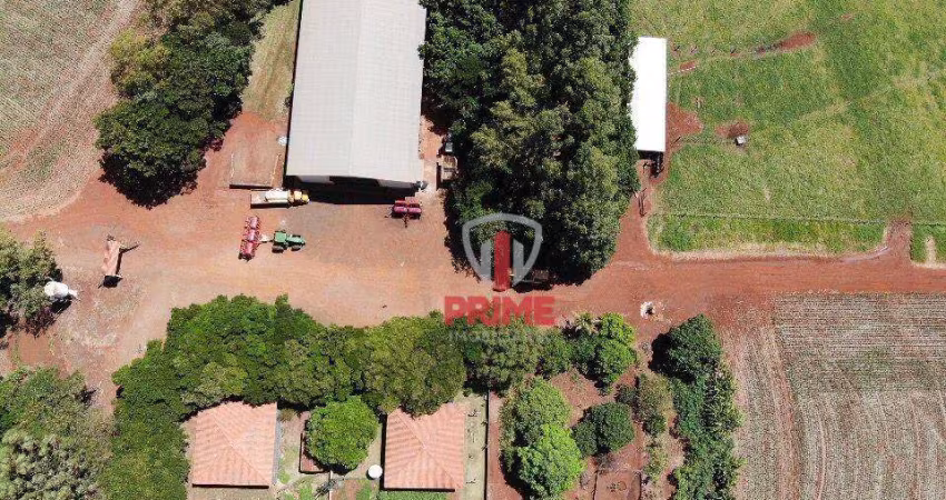 Fazenda à venda em Santa Zélia no Paraná. Com  254 alqueires sendo 180 de plantio, 10 alqueires de eulcalipto, Sede, barracão, 2600 sacas o alqueires.