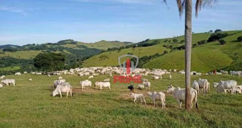 Fazenda à venda em Marquinho no Paraná.   - Com 119 alqueires, podendo mecanizar 20.