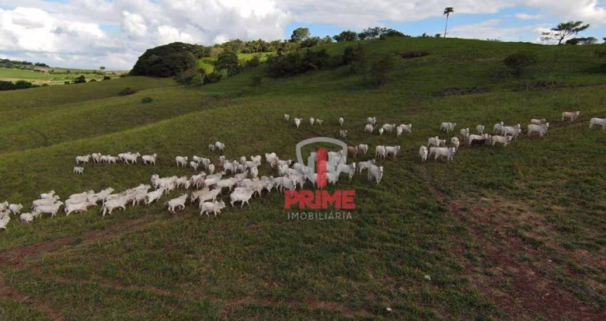 Fazenda à venda em Uraí no Paraná.  Hoje na pecuária, com 15 alqueires na lavoura, casa de alvenaria simples, mangueira, bem localizada, apenas 3 km d