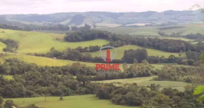 Fazenda à venda em Manoel Ribas no Paraná. Com 134 alqueires, sendo 30 alqueires de plantio, 74 alqueires de pasto formado no brizantão e colonhão, 14