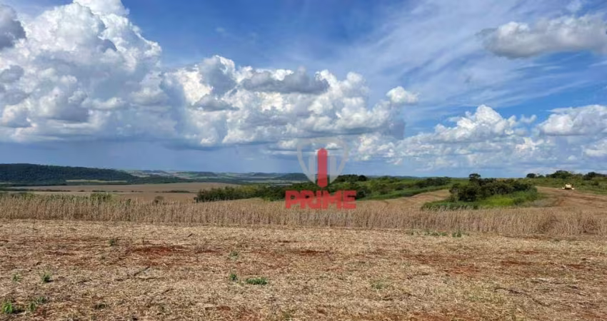 Fazenda à venda em Uraí no Paraná. Com 88 alqueires sendo 35 alqueires de plantio, 10 alqueires de pasto, 2 barracões, 2 casas de funcionários, 1 mang