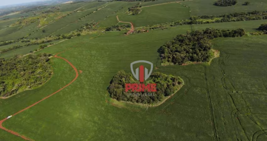 Sítio à venda em Assaí no Paraná. Com 29,85 alqueires, plantado 23 alqueires, topografia plana. Entrada de 50% + 4 parcelas anuais.