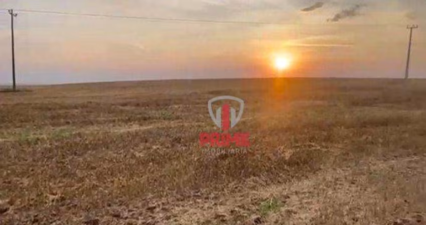 Sitio à venda em Mauá da Serra no Paraná. Na beira da pista. Localização excelente, 100%  aproveitável. Reserva legal averbada na mesma bacia hidrogra