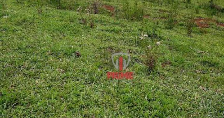Sitio à venda em Cândido de Abreu no Paraná.   - 10 alqueires.
