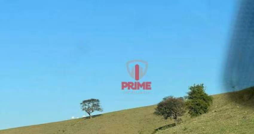 Fazenda à venda em Bandeirantes no Paraná.   - Com 98 alqueires,  formada no pasto