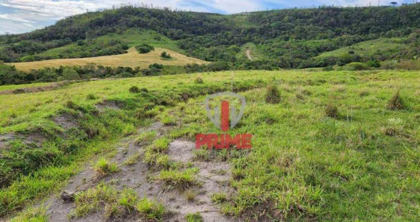 Sítio à venda em São Jerônimo da Serra no Paraná.  Com 20 alqueires, hoje tudo em pasto, Já foi plantado 13 alqueires.
