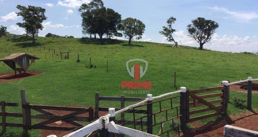 Fazenda à venda em Faxinal no Paraná.   - Com 68 alqueires sendo 23 alqueire de plantio.