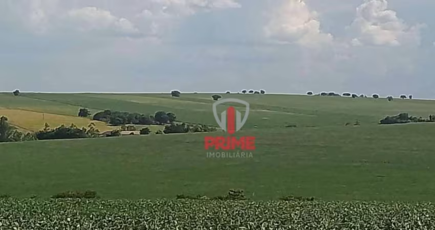 Fazenda à venda na Região de Maringá no Paraná. Com 100 alqueires, 80 alqueires de plantio, 10 alqueires de pasto, com benfeitorias, 60 km de Londrina