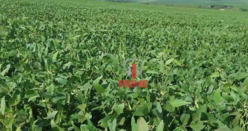 Fazenda à venda em Santa Mariana no Paraná. Com 155 alqueires, 115 alqueires plantando, 5 alqueires de eucalipto.  3.000 sacas de soja por alqueires -