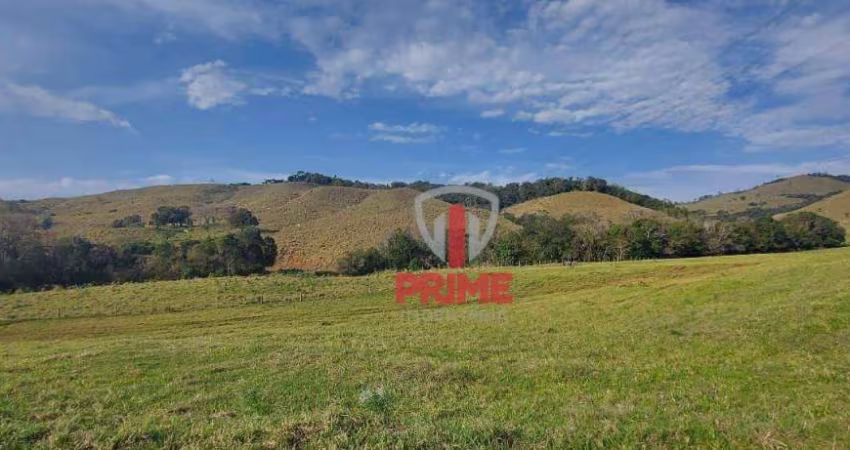 Fazenda à venda em Nova Tebas no Paraná. Com 356 alqueires, formada na pecuária, cercas paraguaias novas, casas de funcionários, casa sede, divisões d