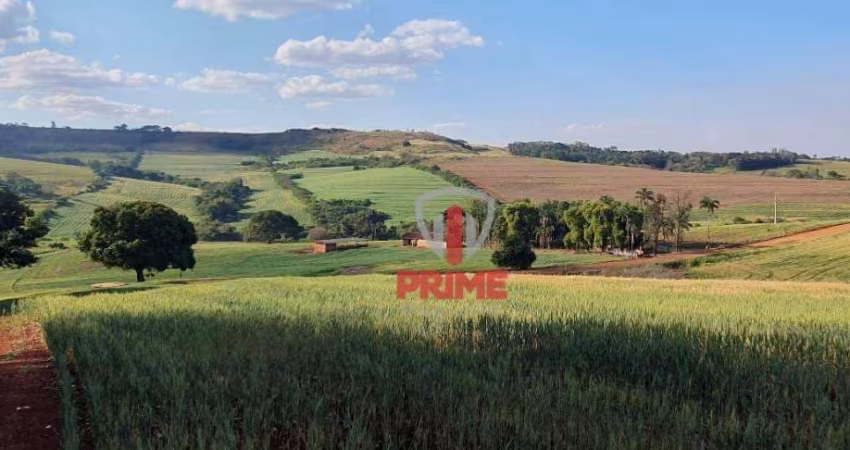 Fazenda à venda em Faxinal  - PR. Com 223 alqueires, 140 de plantio, 35 alqueires de pasto sujo, Terra roxa.  2.500 sacas o alqueire.