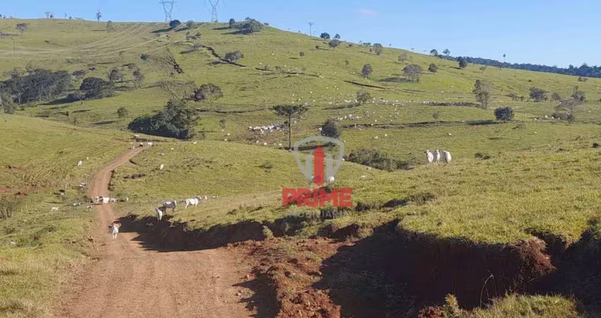 Fazenda à venda, R$ 100.000,00 o alqueire sendo 288 alqueires em Laranjeiras do Sul no PR.