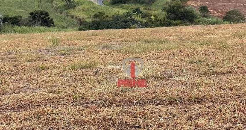 Sítio à venda em Lerrovile, distrito de Londrina. Com 14 alqueires, sendo 11,4 alqueires de plantio, 600 metros de testada com asfalto.  R$ 4.000.000,