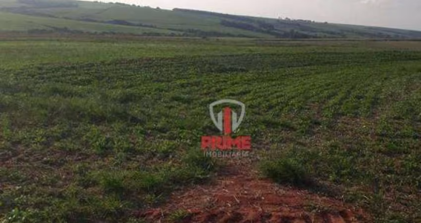Fazenda à venda em Florestópolis no Paraná. Com 88 alqueires de plantio, sem perca. R$ 200.000,00 o alqueire. Entrada + 2 pagamentos.