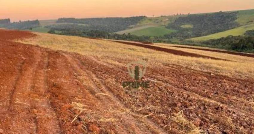 Sítio à venda em Mauá da Serra.   - Com 35 alqueires sendo 27 alqueires de plantio. 890 metros de altitude.  - Campo de semente.