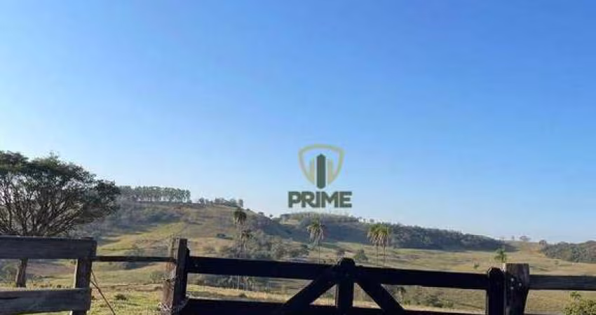 Fazenda à venda em Bandeirantes no Paraná.   - Com 98 alqueires, formada no pasto
