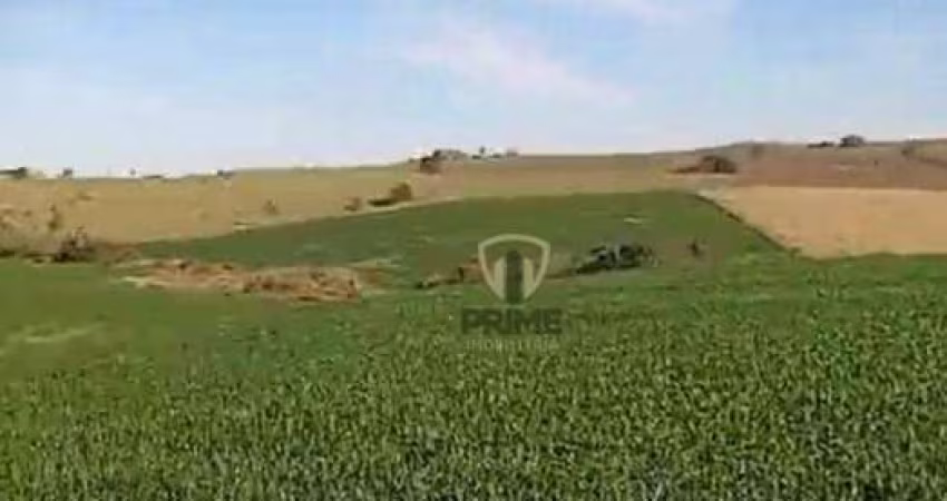 Fazenda à venda em Santo Antônio da Platina no Paraná.   - Com 176 alqueires,  hoje 169 alqueires em trigo, 7 alqueires de mato.