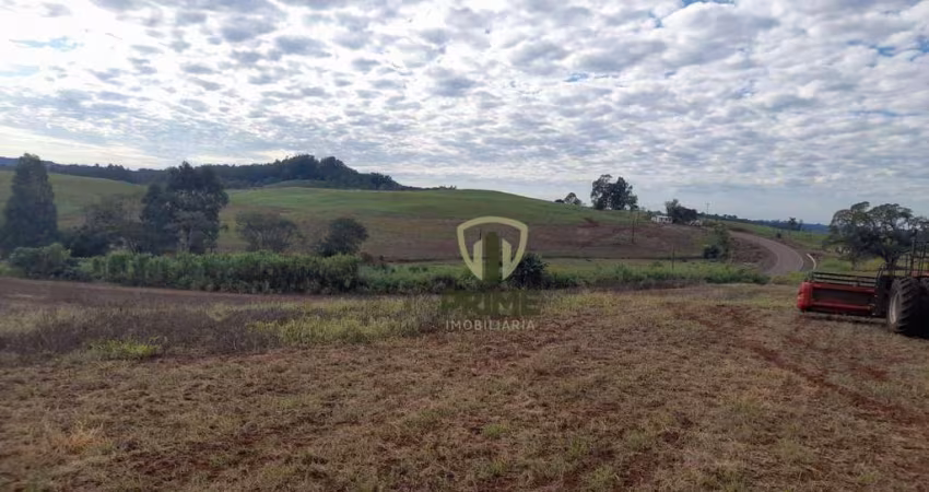 Fazenda à venda em São Miguel do Oeste em Santa Catarina.    - Com 530 alqueires, sendo 6 matrículas, 130 alqueires de plantio hoje e abre mais 80 à 1