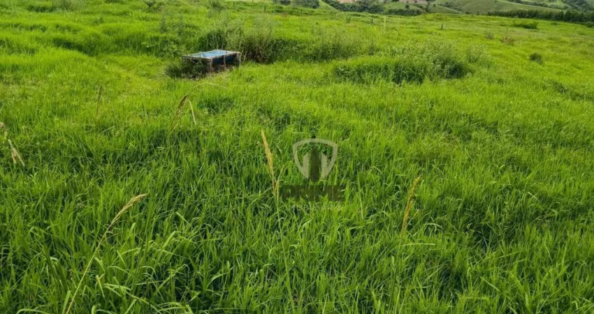 Fazenda à venda em Cândido de Abreu - Paraná.   - Com 216 Alqueires, sendo 145 Alqueires de pasto alto