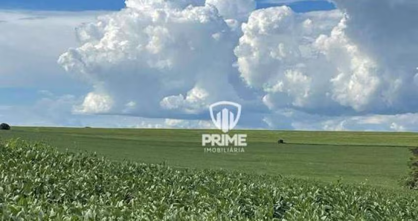 Fazenda à venda em Sertaneja-PR.   - Com 150 alqueiresde plantio a 2 KM do asfalto