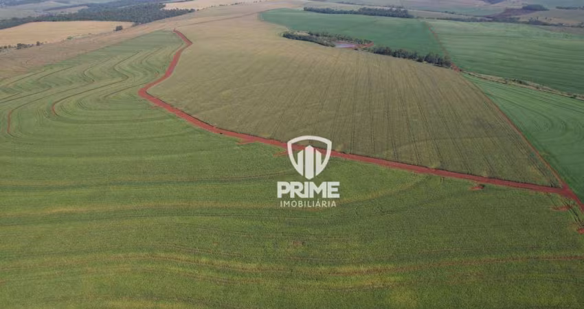 Fazenda à venda em São Martinho - cidade de Rolândia.   - Com 168 alqueires, 147 alquieres de plantio