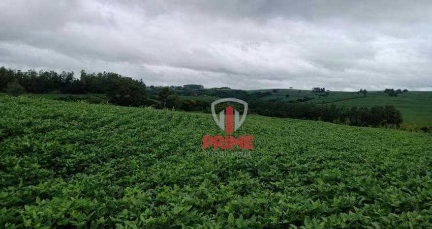 Sítio com 20 alqueires, 14 produzindo, podendo produzir 16.