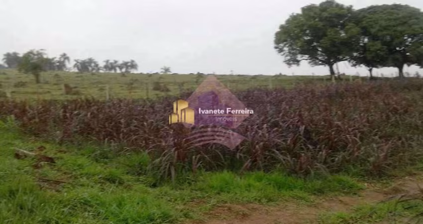 Área, Putim, São José dos Campos - R$ 35 mi, Cod: 34941244