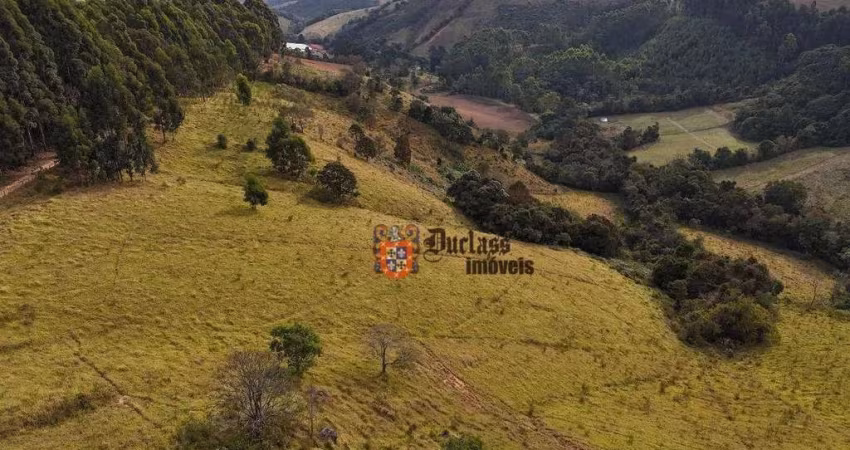 Terreno à venda, 20000 m² por R$ 400.000,00 - São Mateus - Camanducaia/MG