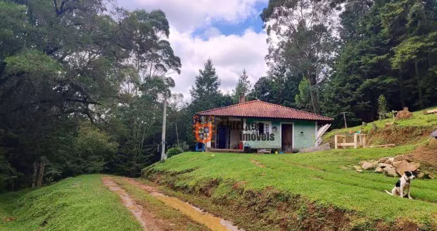 Sítio à venda, 60500 m² por r$ 905.000 - bom jardim - camanducaia/mg