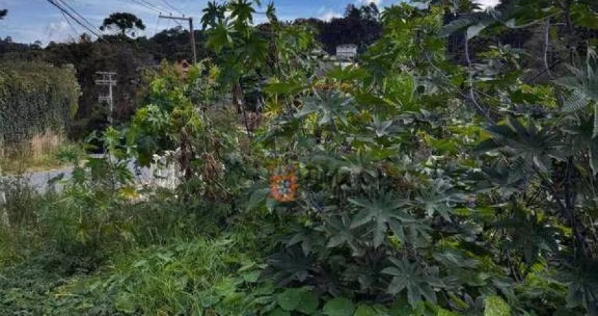 Terreno à venda, 850 m² por R$ 800.000 - Alto Do Capivari - Campos do Jordão/SP