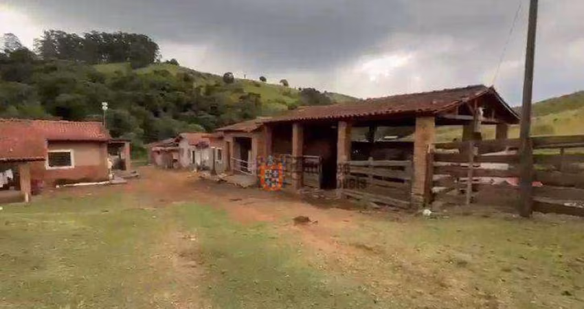 Sítio à venda, 186000 m² por R$ 600.000,00 - Centro - Pedra Bela/SP