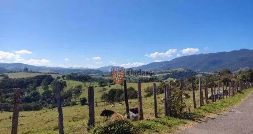 Terreno à venda, 1000 m² por r$ 279.000,00 - centro - vargem/sp