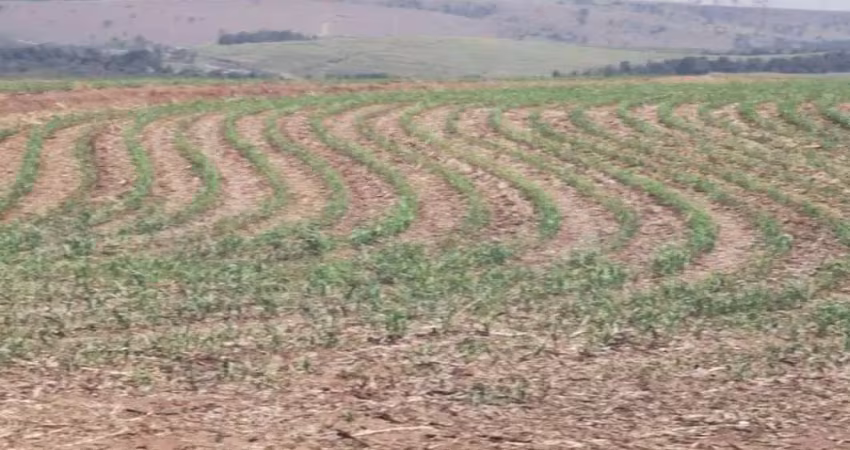 Chácara / sítio com 5 quartos à venda na Área Rural, 100, Centro, Santa Maria da Serra