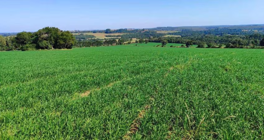 Fazenda á venda em Capão Bonito/SP
