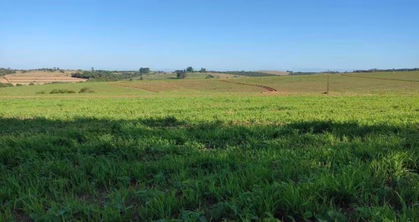 Excelente Fazenda á venda em Itapetininga/SP