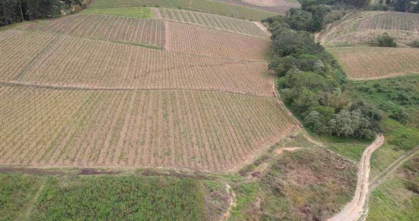 SÍTIO A VENDA EM SÃO MIGUEL ARCANJO-SP ????