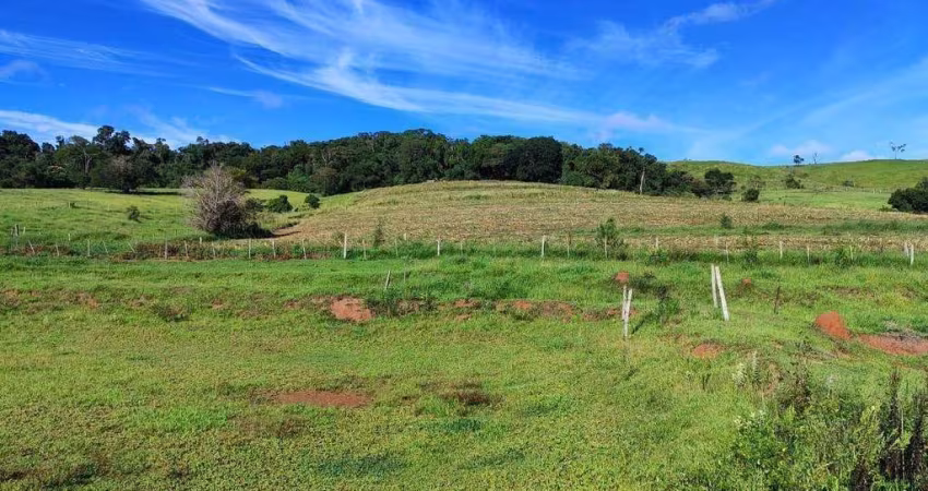 Sítio à venda, 76 m² por R$ 4.200.000,00 - Centro - Itapetininga/SP
