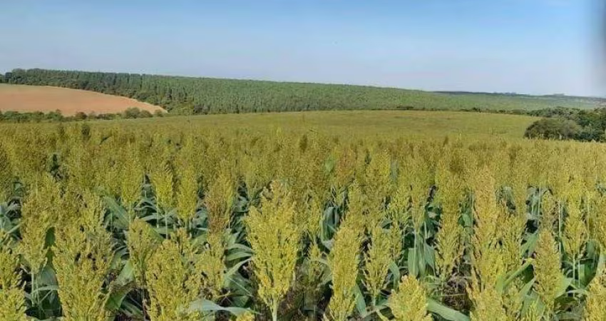 Fazenda à venda, 390 m² por R$ 20.930.000,00 - Centro - Capão Bonito/SP