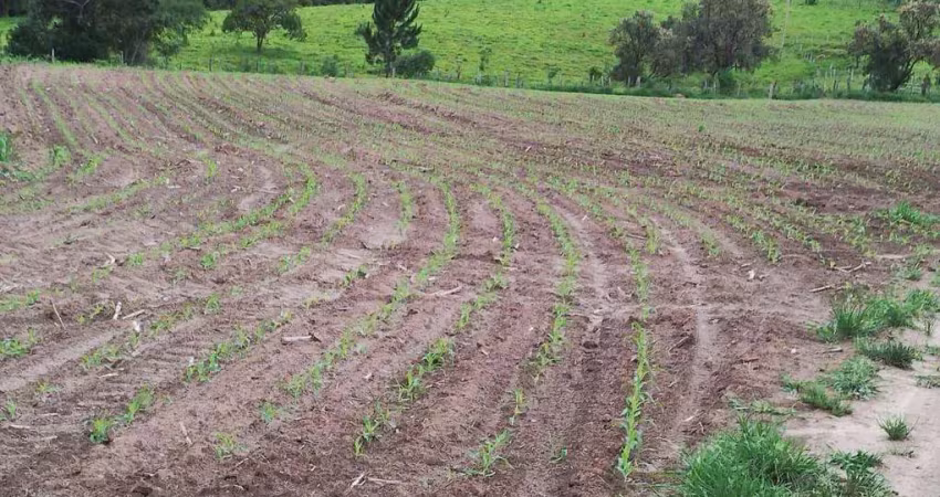 Fazenda à venda na Rua Nova Escócia, 24, Vila Barth, Itapetininga