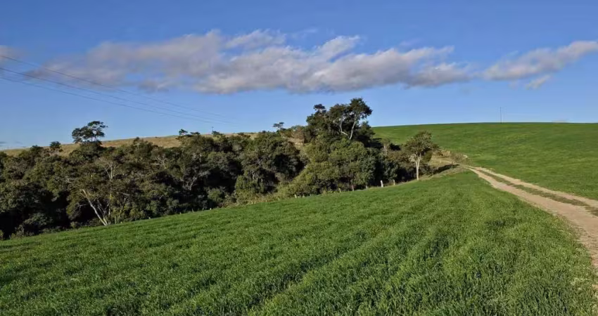 Fazenda 1161600 m² á venda na região de itapetininga sp