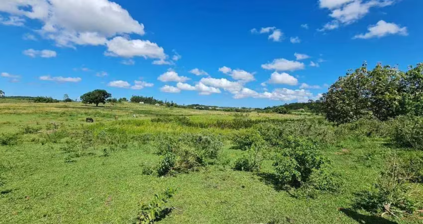 Chácara / sítio com 2 quartos à venda na Estrada Macabu, 4, Monte Belo, Araruama